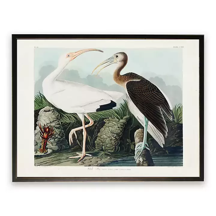 Clearance Vintage White Ibis Pair Framed Art Print Framed Art