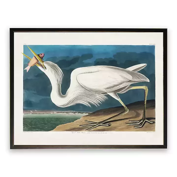 Flash Sale Vintage White Pelican With Fish Framed Art Print Framed Art
