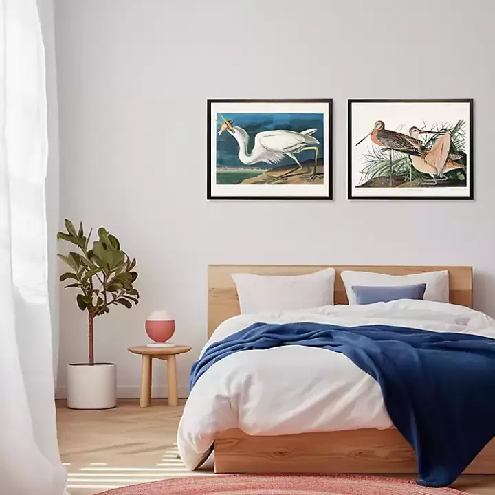 Flash Sale Vintage White Pelican With Fish Framed Art Print Framed Art