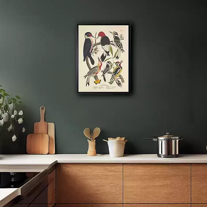 Discount Vintage Woodpecker Birds Framed Art Print Framed Art