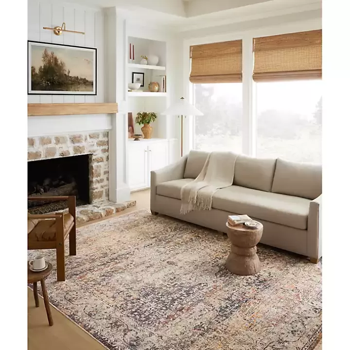 Fashion Warm Neutral Lucca Area Rug, 6x9 Area Rugs