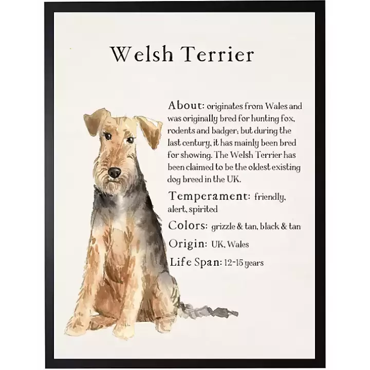 Shop Welsh Terrier Facts Framed Wall Plaque Wall Quotes & Signs