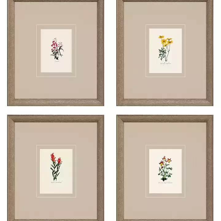 Discount Western Wildflower Framed Art Prints, Set of Framed Art