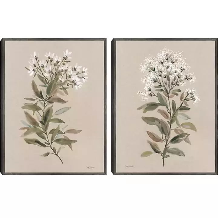 Hot White Floral Stems Framed Canvas Prints, Set of 2 Canvas Art