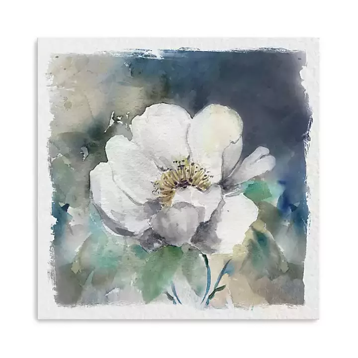 Sale Whitewashed Peony Canvas Art Print Canvas Art