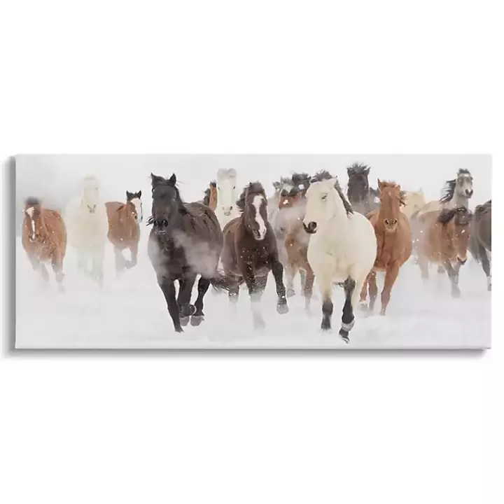 New Wild Winter Horses Canvas Art Print, 48x20 in. Canvas Art