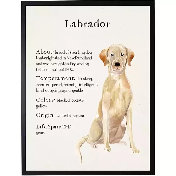 Store Yellow Labrador Facts Framed Wall Plaque Wall Quotes & Signs