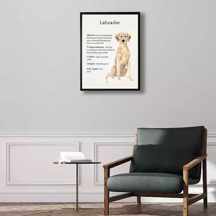 Store Yellow Labrador Facts Framed Wall Plaque Wall Quotes & Signs