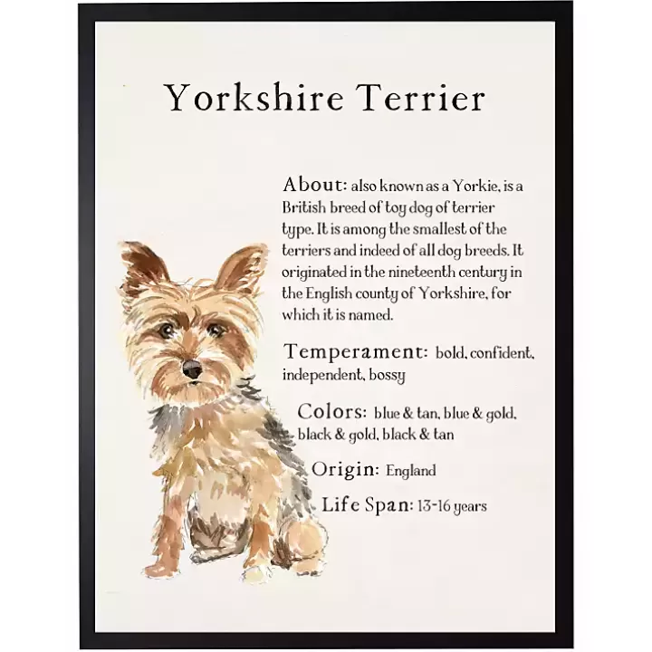 Fashion Yorkshire Terrier Facts Framed Wall Plaque Wall Quotes & Signs